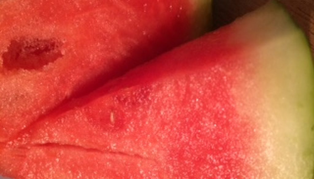 watermelon.1